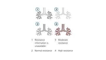 Illustrazione: resistenza nel pannello polmone dinamico