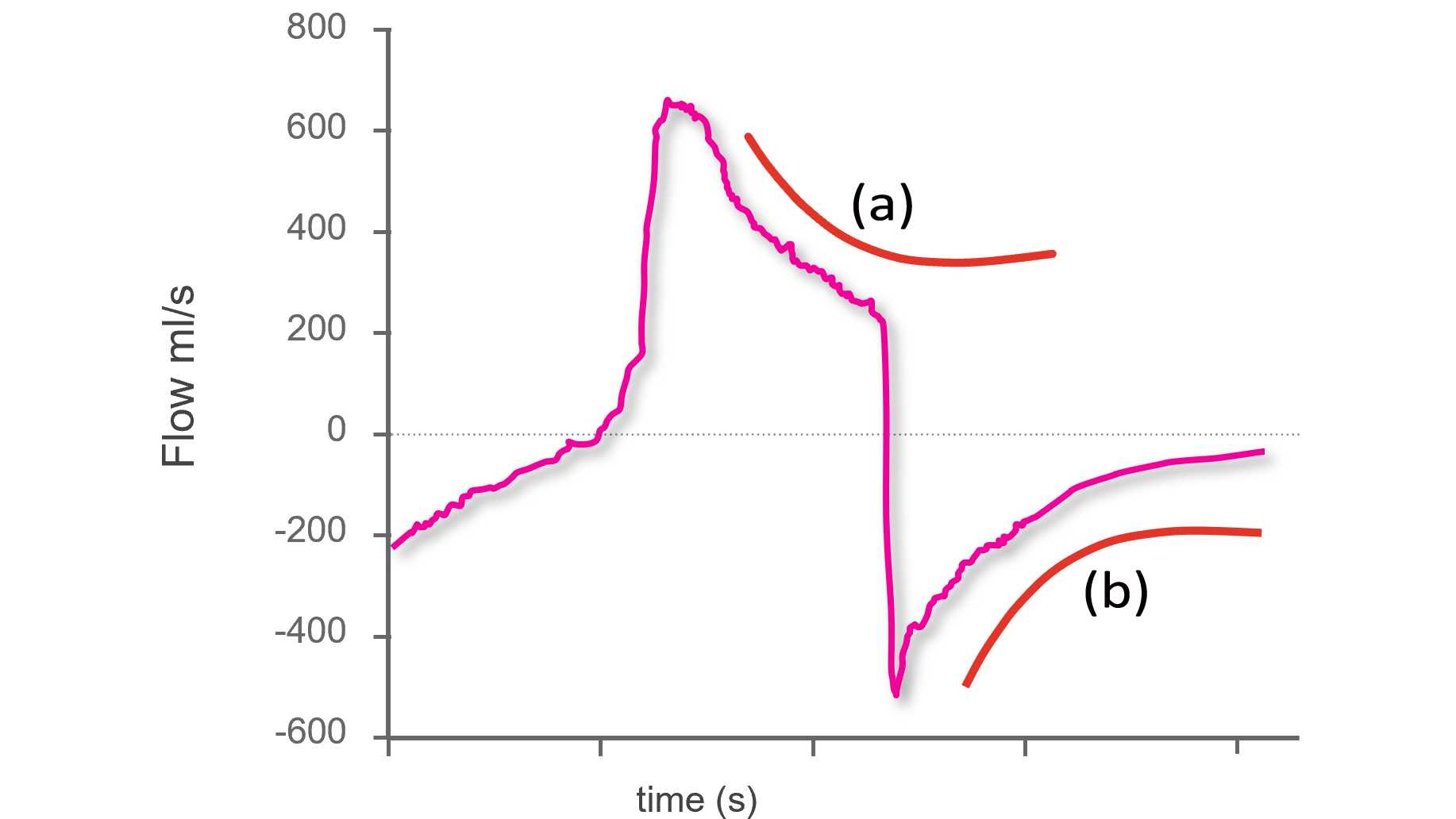 Diagramma che mostra il decadimento esponenziale durante inspirazione ed espirazione