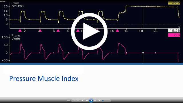 Journal Club: Pressure Muscle Index