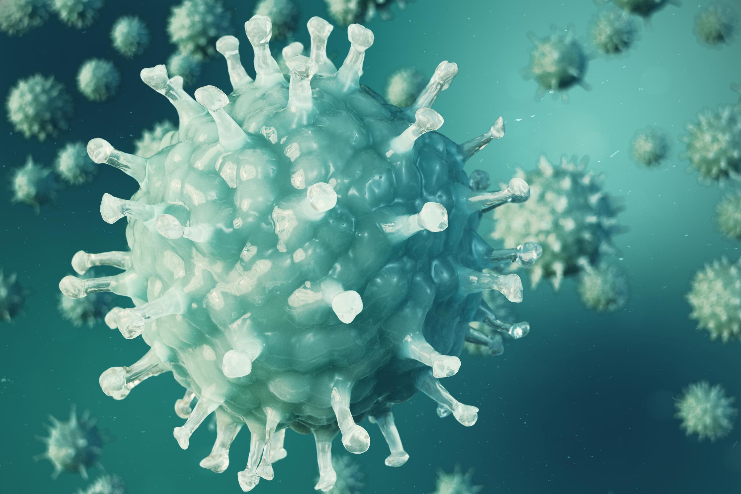 COVID-19 / SARS-CoV-2 cells