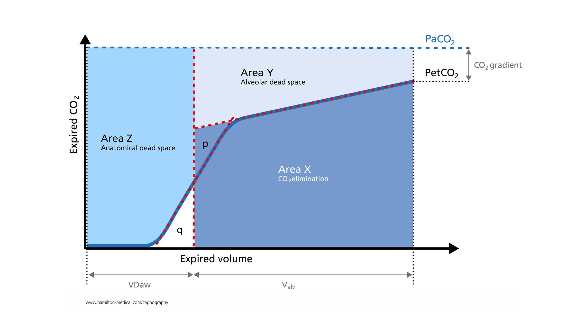 Statistic graphic: www.hamilton-medical.com/capnography