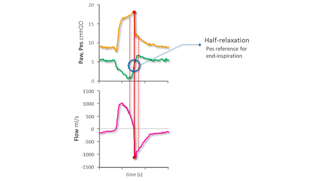 Графики кривых давления, потока и Pes, на которых показано завершение вдоха
