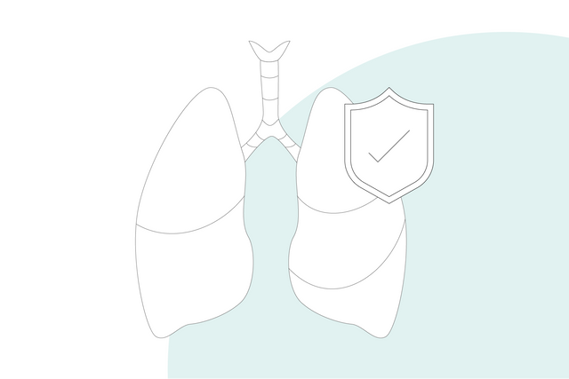 Grafische Darstellung: menschliche Lunge mit dem Schutzschild-Symbol als Zeichen für den Lungenschutz