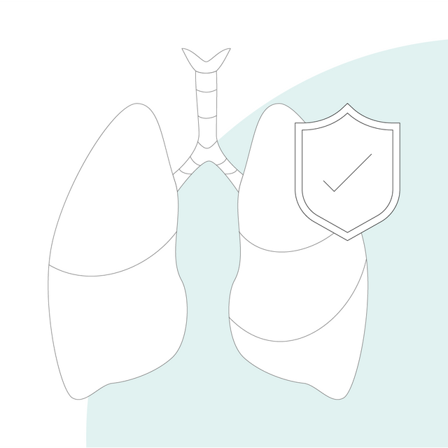 Ilustración gráfica: pulmón humano con el símbolo de un "escudo de protección" como signo de protección pulmonar
