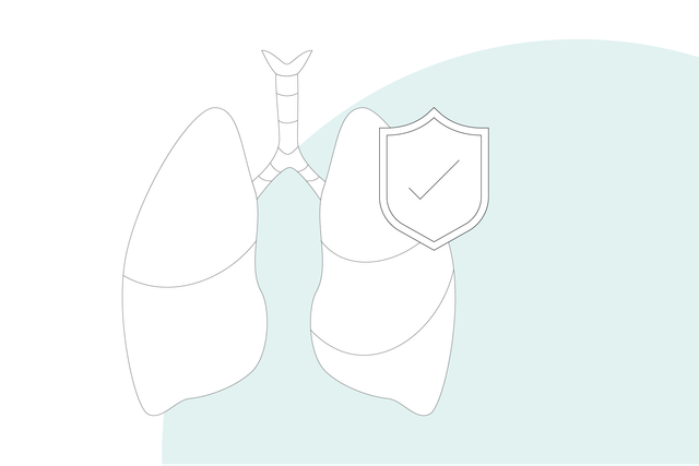 Illustrazione: polmone umano con uno "scudo protettivo" che simboleggia la protezione polmonare