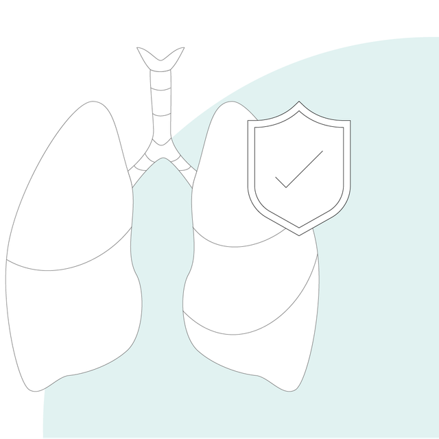 Graphic illustration: human lung with symbol "protective shield" as sign for lung protection