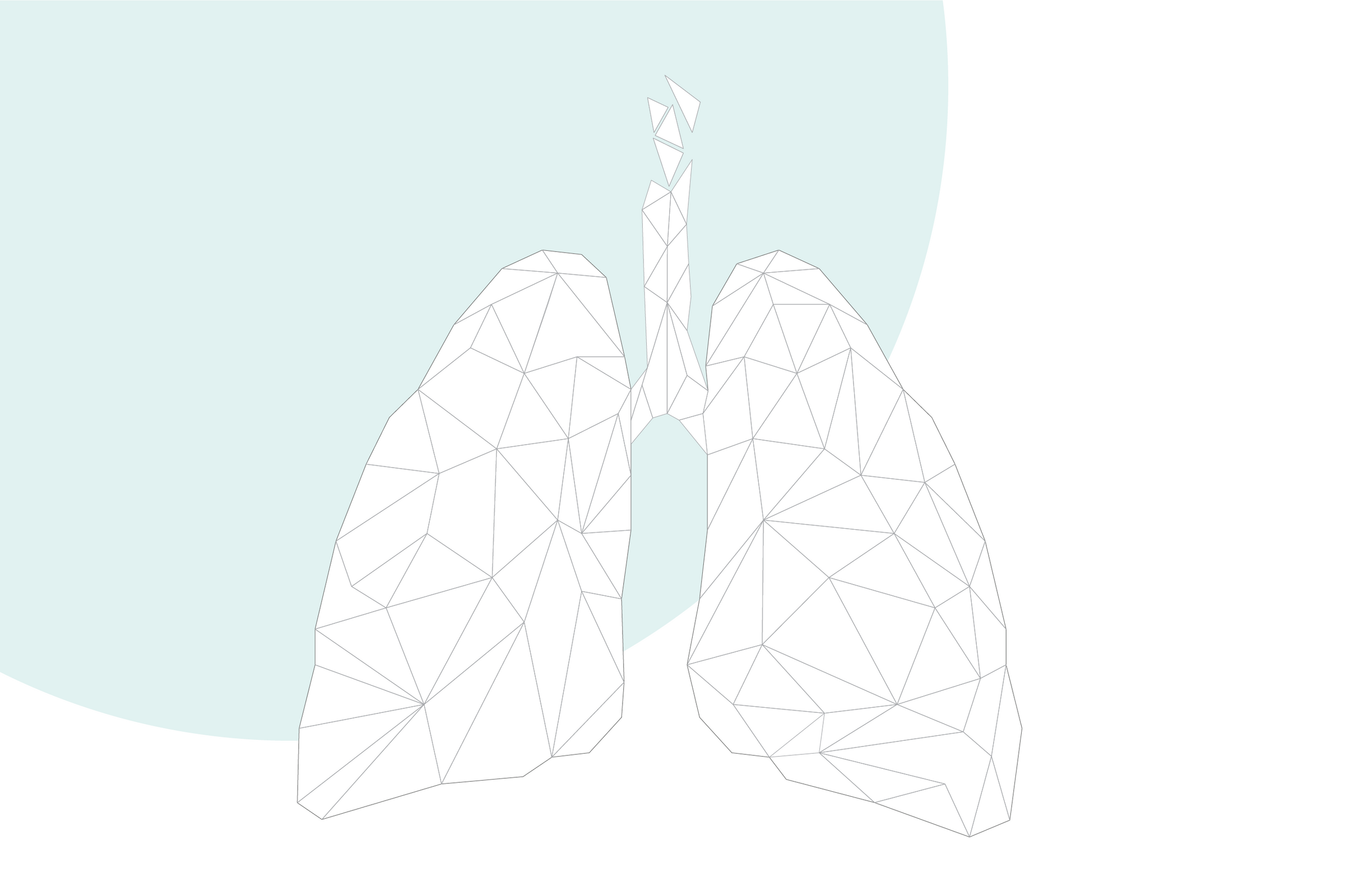 Graphic illustration: human lung 