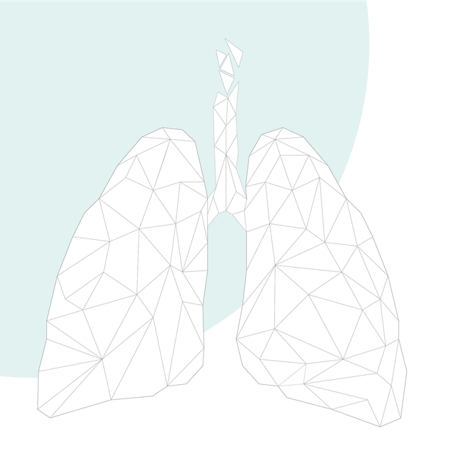 Grafische Darstellung: menschliche Lunge 