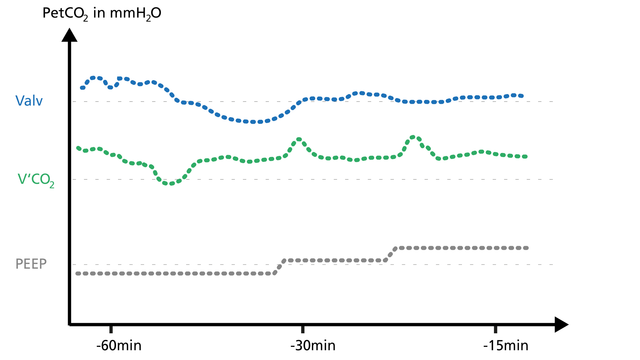 Illustration of Valv, V'CO2 and PEEP