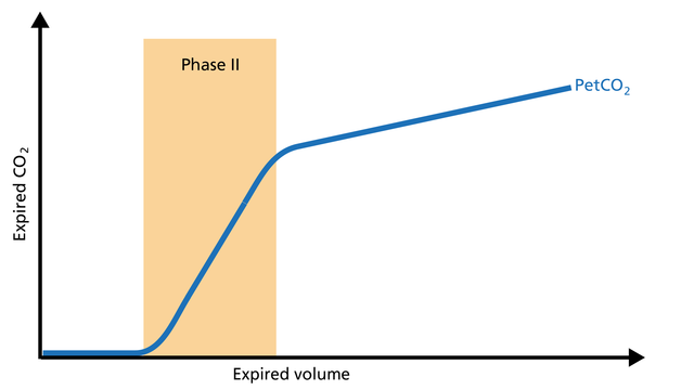 Illustration of phase II of the volumetric capnogram: Transition phase