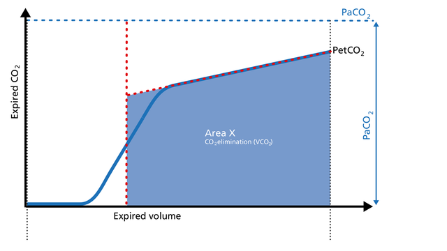 Illustration of the Area X of the volumetric capnogram