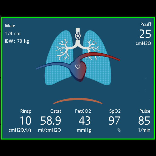 Screen dynamic lung