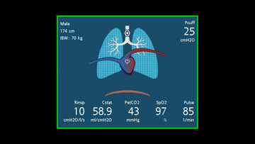 Screen dynamic lung