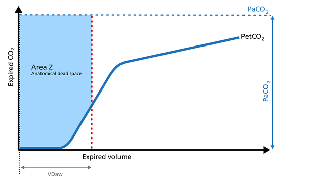 Illustration of the Area Z of the volumetric capnogram