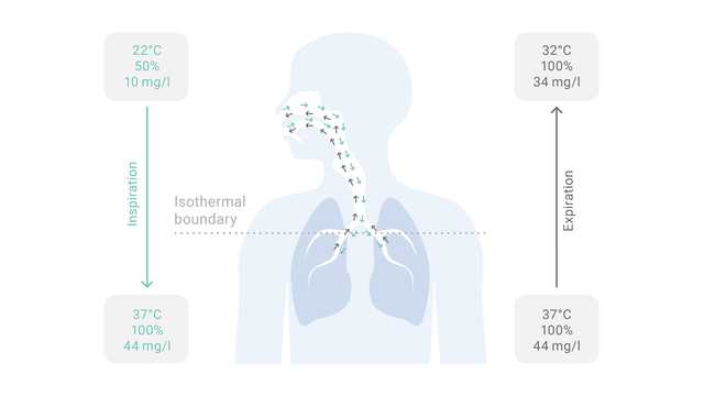 Illustration of flow inside of a patient