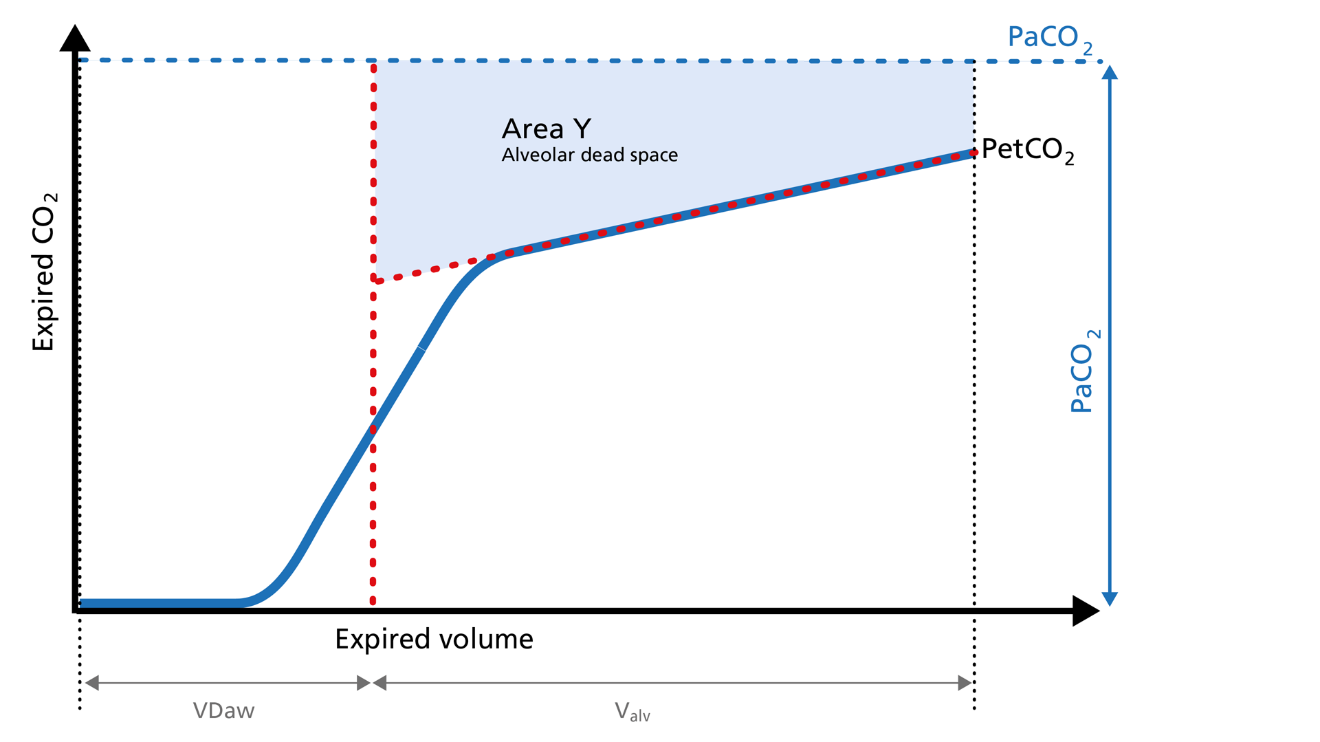 Illustration of the Area Y of the volumetric capnogram