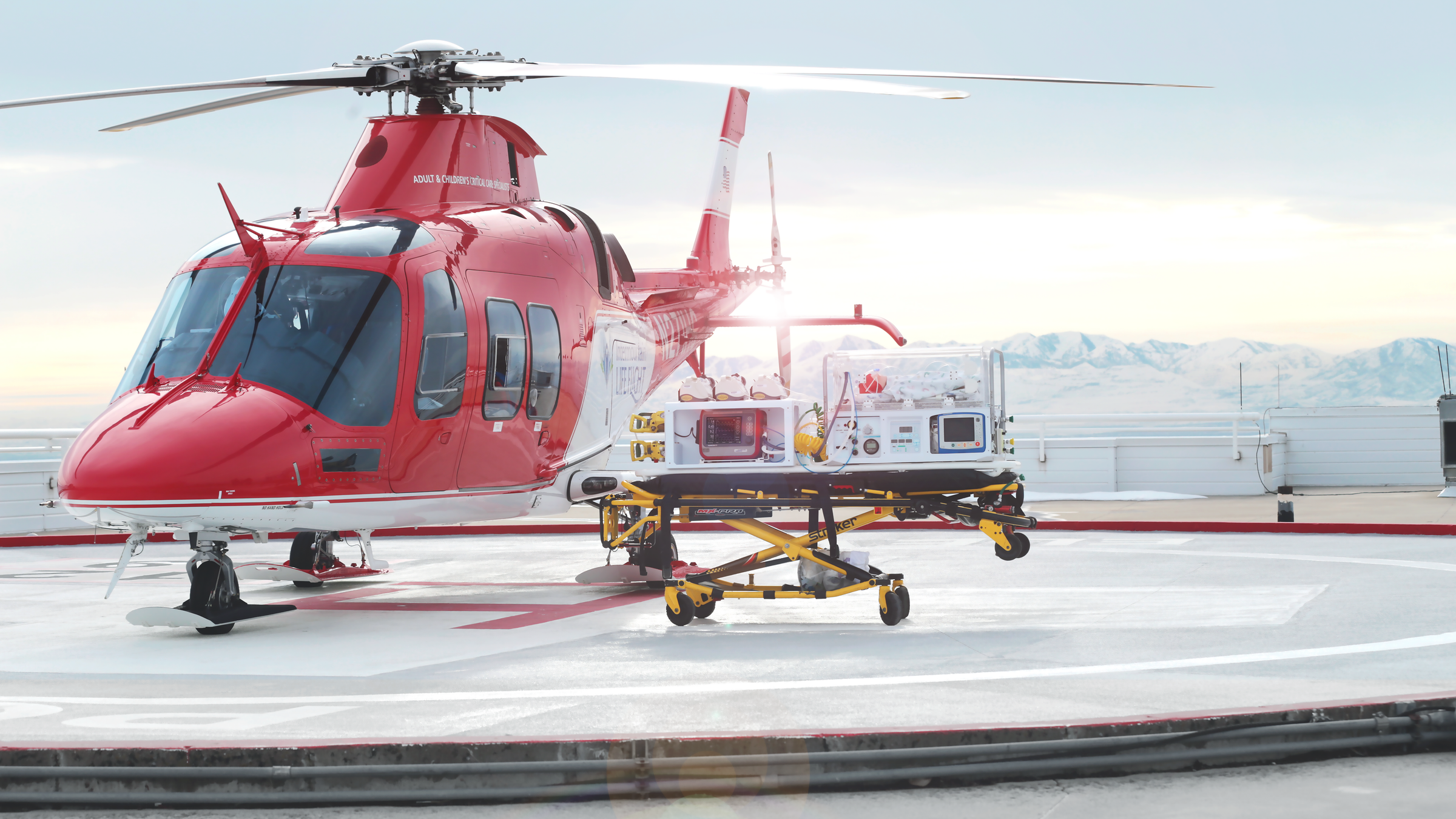 HAMILTON-T1 with the neonatal option