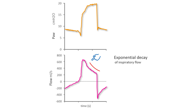 Flow waveform showing prolonged exponential decay