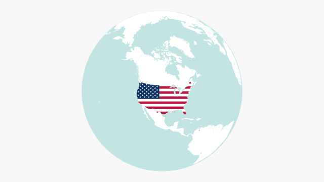 Global presence with focus in the USA