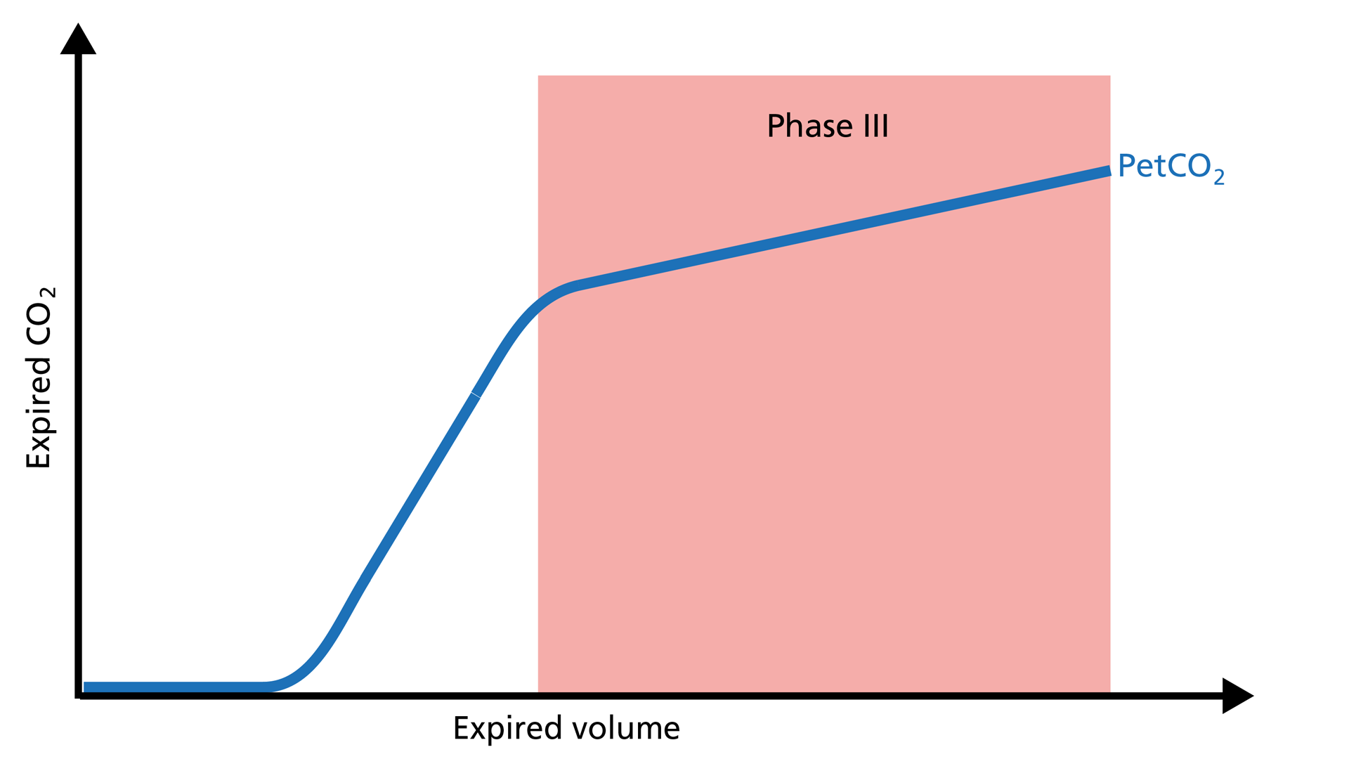 Illustration of phase III of the volumetric capnogram: Plateau phase