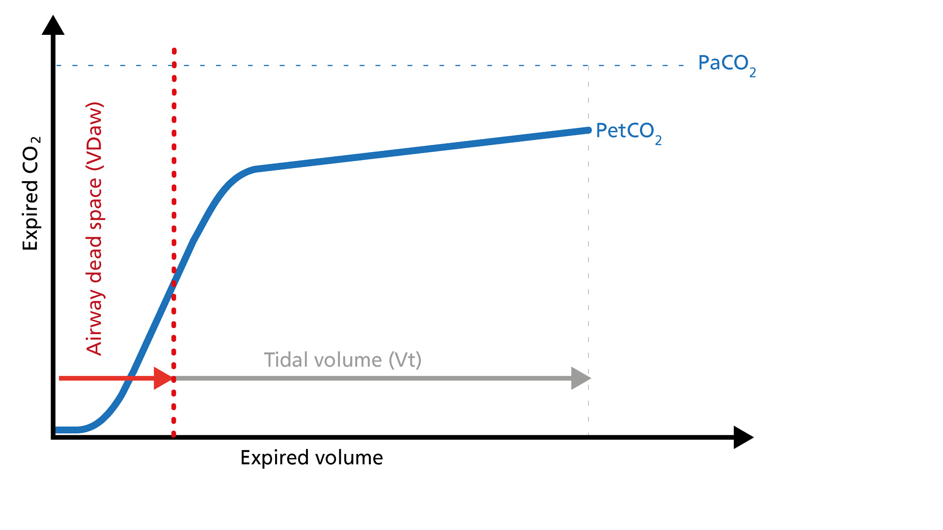 Illustration of the dead space ventilation on the volumetric capnogram