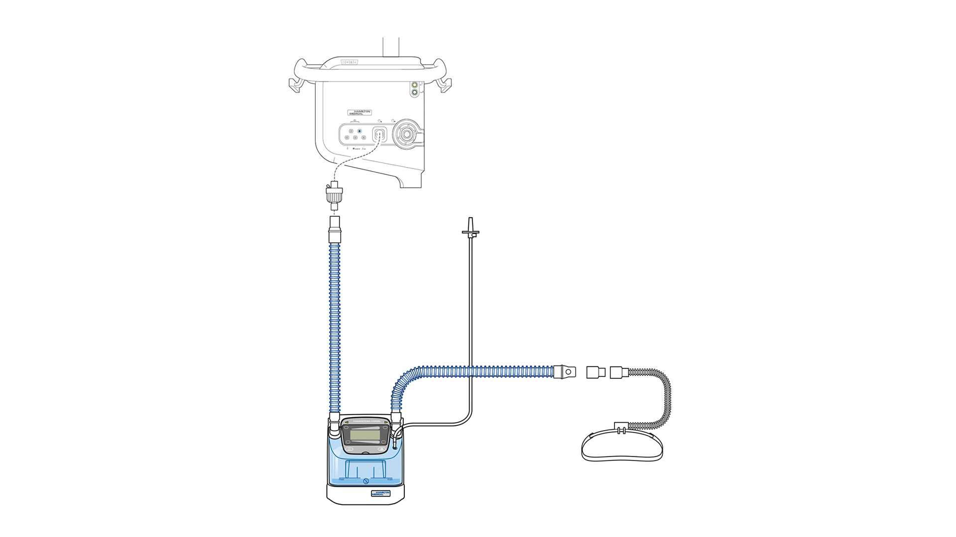 Illustration of a ventilator with a HAMILTON-H900 humidifier