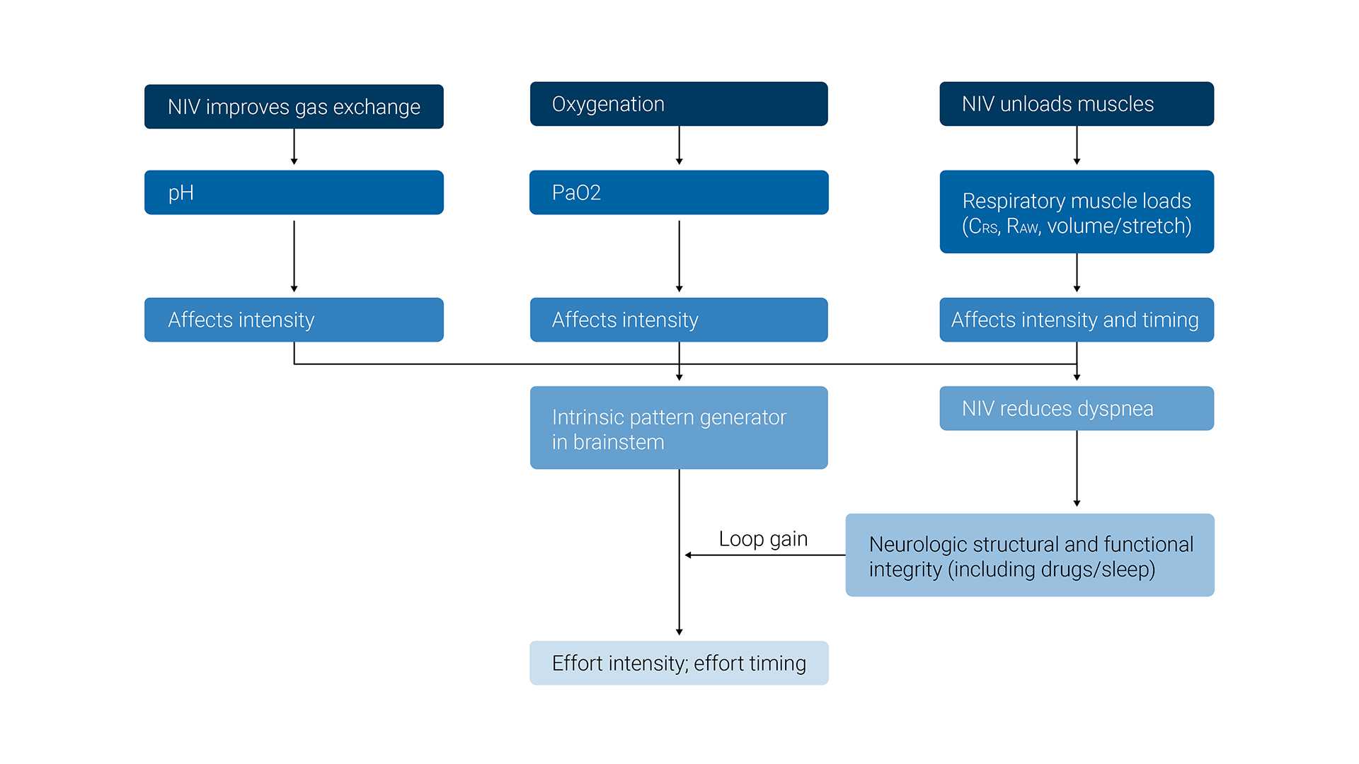 Illustration of the physiologic effects of NIV