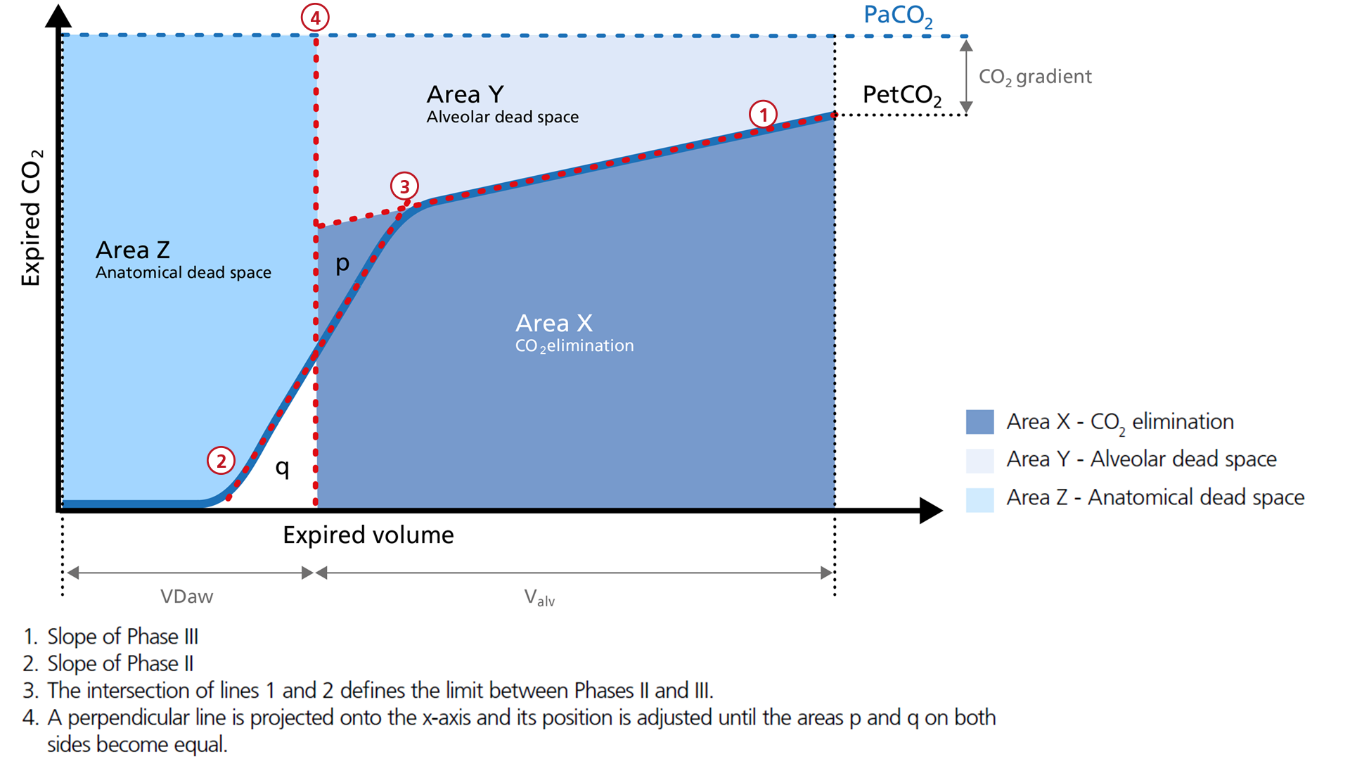 Basics Of Volumetric Capnography - Part 2: Single Breath CO2 Analysis ...