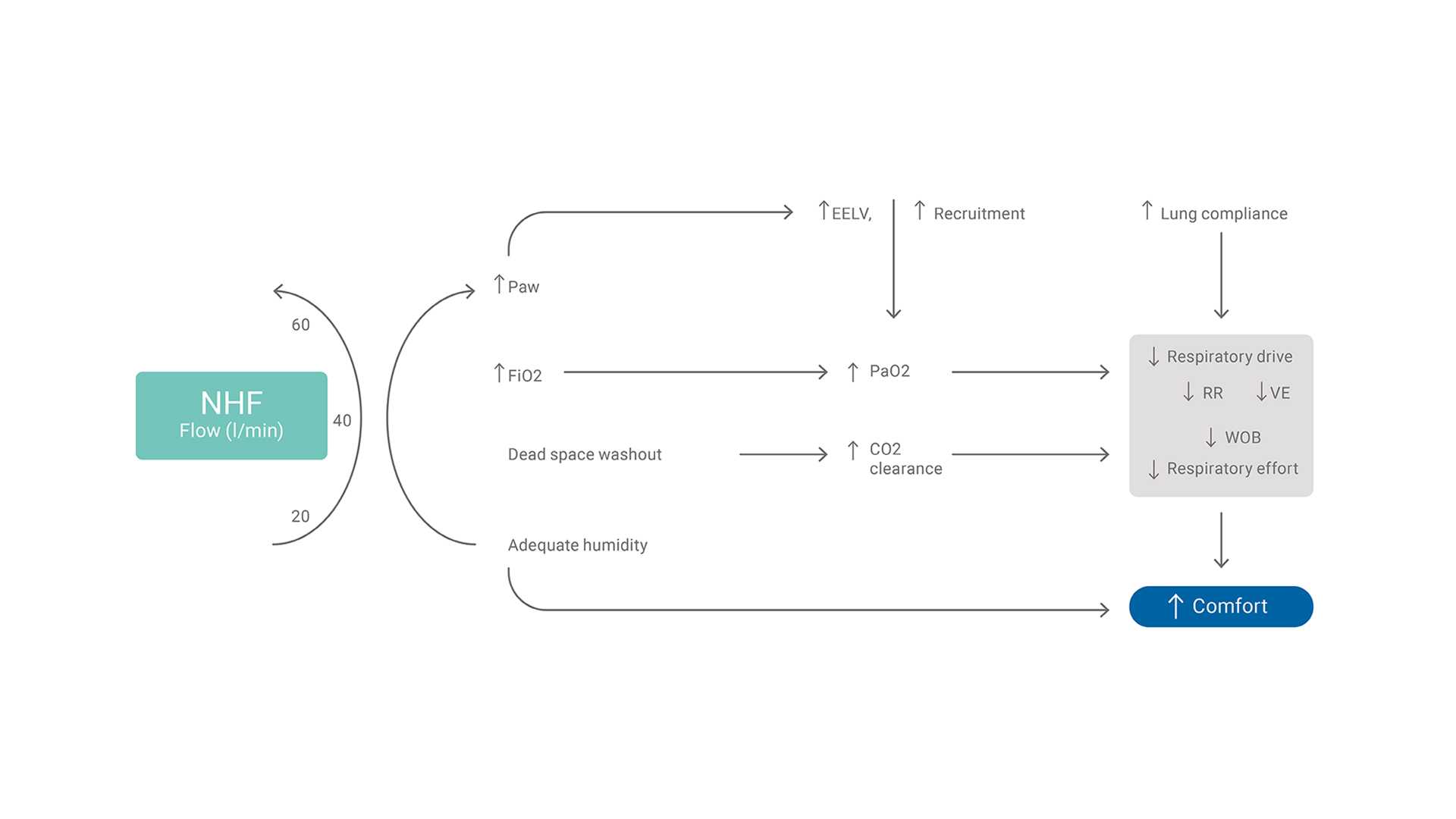 Illustration of the physiologic effects of high flow