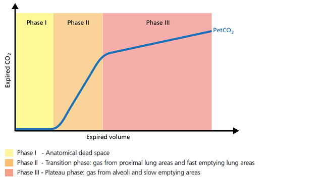 Illustration of the three phases of the volumetric capnogram