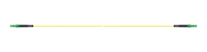 1m