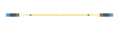 1m