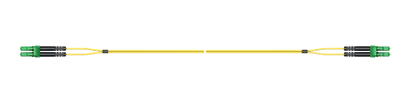 1m
