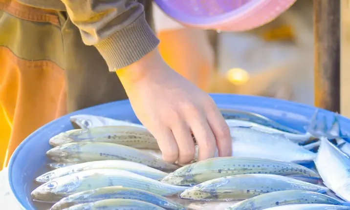 Infection from handling fish too