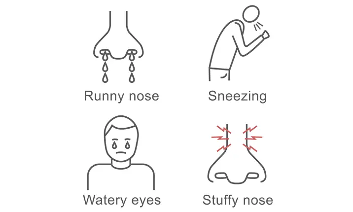 过敏性鼻炎 - 症状