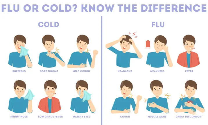 Difference between cold and flu