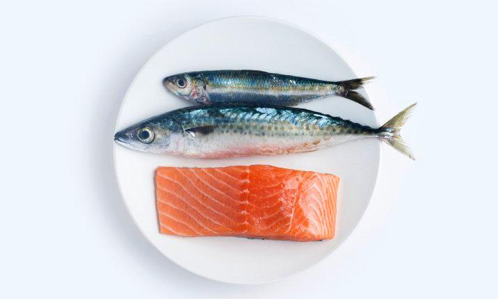 Salmon, mackerel, and sardines