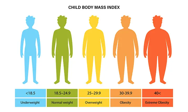 BMI index