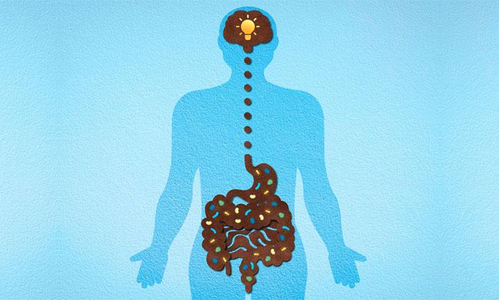 Gut health and mental health