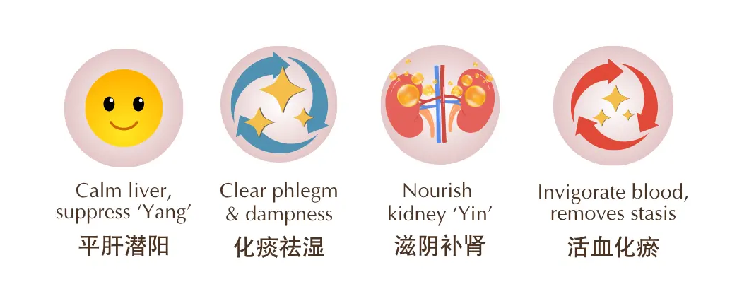 Western Medical Approach