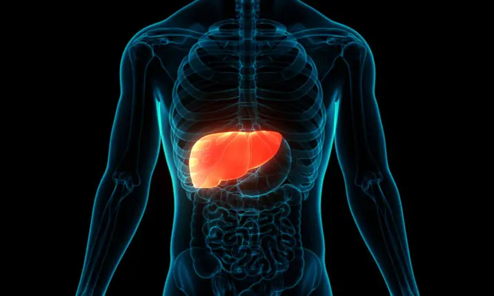 Is My Liver Abnormal?