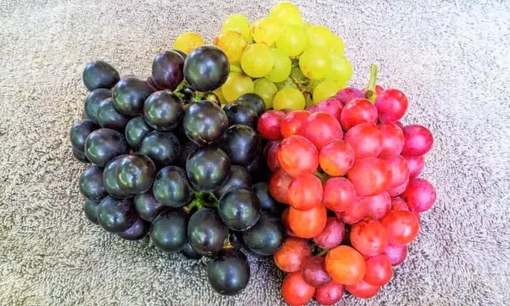 Grapes