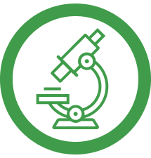 Icon showing a microscope with the caption "Triple-tested for quality & efficacy," representing how UltraFlora® advanced probiotics are rigorously tested to ensure purity, potency, and reliable gut health support.
