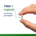 Close-up of a hand holding one white capsule of UltraFlora® Complete with on-screen text reading “Take 1 capsule for 24-hour gut support.” Image communicates recommended daily dosage for probiotic benefits.