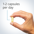 Hand holding a single Metagenics Quercetin 500 mg capsule. 