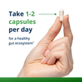 Dosage guidance for UltraFlora® Balance Probiotic shown as one white capsule held between fingers, with on-screen text recommending 1–2 capsules per day to support a healthy gut ecosystem.