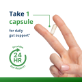 A woman’s hand holding a single capsule from Metagenics UltraFlora® Complete Women’s Probiotic, showcasing the capsule size, stating recommended dosage of 1 capsule per day.