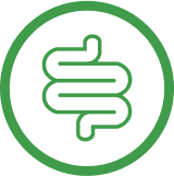Green icon of an intestine representing GI Maintenance.