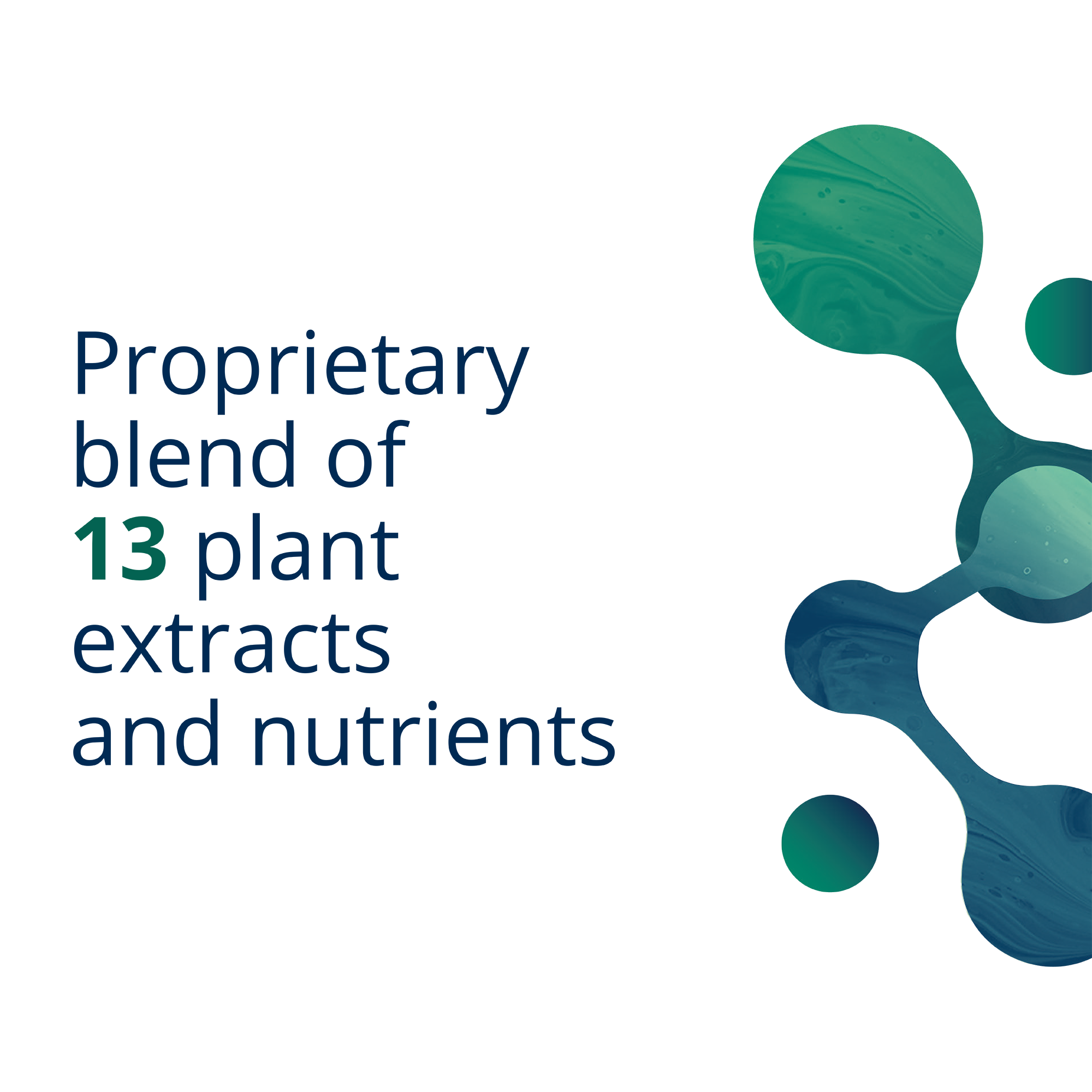 PhytoMulti® Superfoods 2