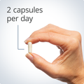 Hand holding a MethylCare® capsule, indicating a recommended dosage of two capsules per day for optimal health support.